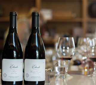 PinotPalooza